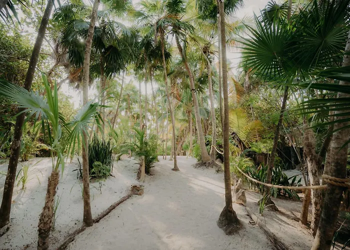 Serenidad - Luxury Retreat With Private Garden, Pool And Rooftop Terrace Villa Tulum